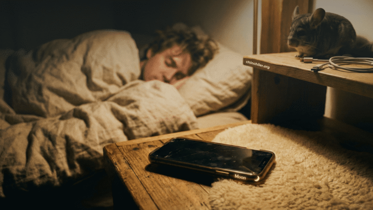 Ein Smartphone, das mit dem Display nach unten auf einem flauschigen Nachttisch liegt, wobei das Symbol „Mond“ (Nicht stören) am Rand schwach leuchtet. Im weichgezeichneten Hintergrund schläft eine Person selig unter einer schweren Bettdecke. Auf einem Regal über dem Telefon sitzt ein Chinchilla neben einem ausgesteckten Ladekabel und sieht gelassen aus.