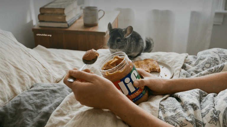 Eine von oben aufgenommene Fotografie der Hände einer Person, die lässig einen Löffel hält und Erdnussbutter direkt aus dem Glas isst. Der Hintergrund ist ein unordentliches, gemütliches Bett mit zerknitterten Leinenbettlaken. Im leicht unscharfen Hintergrund beobachtet ein kleines Chinchilla auf einem Nachttisch neben einem Stapel Bücher das Geschehen.