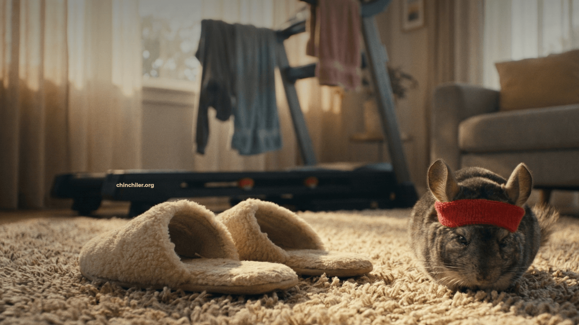 Ein Paar flauschige Hausschuhe stehen auf einem weichen Teppich. Im Hintergrund, unscharf, wird ein Laufband als Wäscheständer benutzt, bedeckt mit Wäsche. Neben den Hausschuhen sitzt ein Chinchilla mit einem winzigen Schweißband und sieht erschöpft aus.